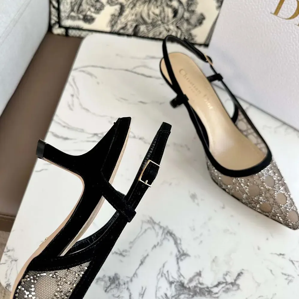 Dior Capture Slingback Pump Transparent Mesh with Silver for Women in Tone Strass Cannage Motif