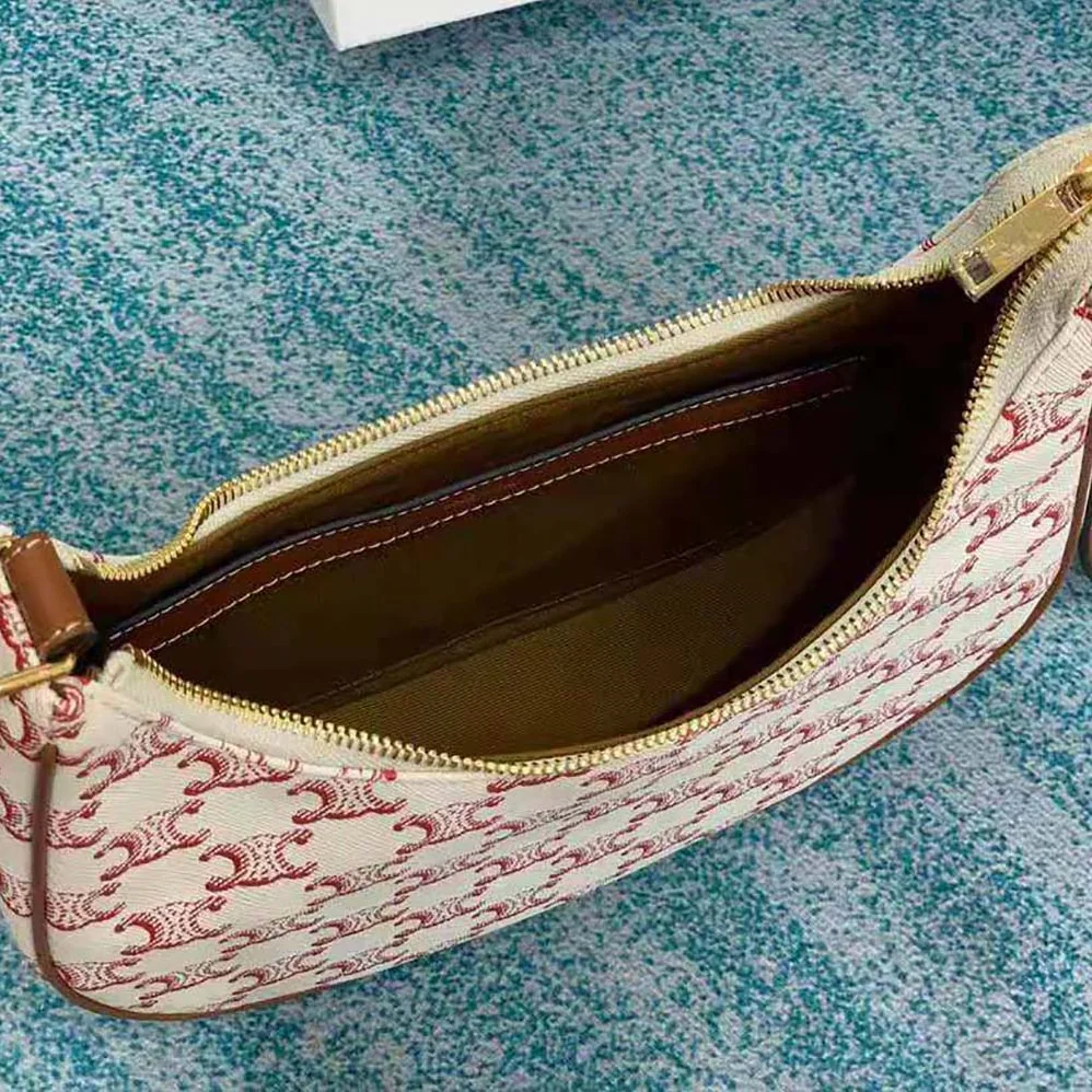 Celine Ava Bag in Triomphe Canvas and Calfskin for Women