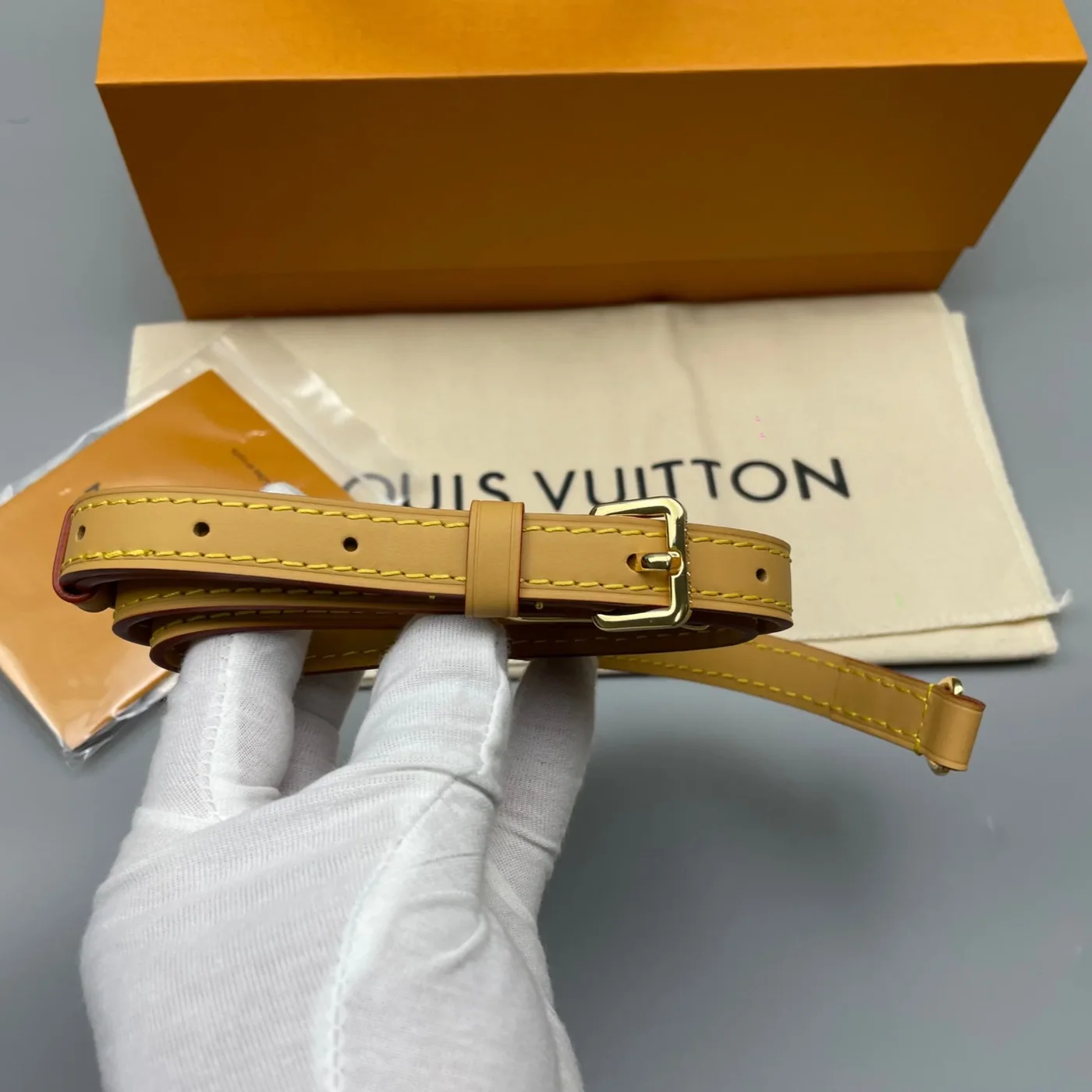 Louis Vuitton Nano Speedy Top Handle Bag in Brown Gold Hardware