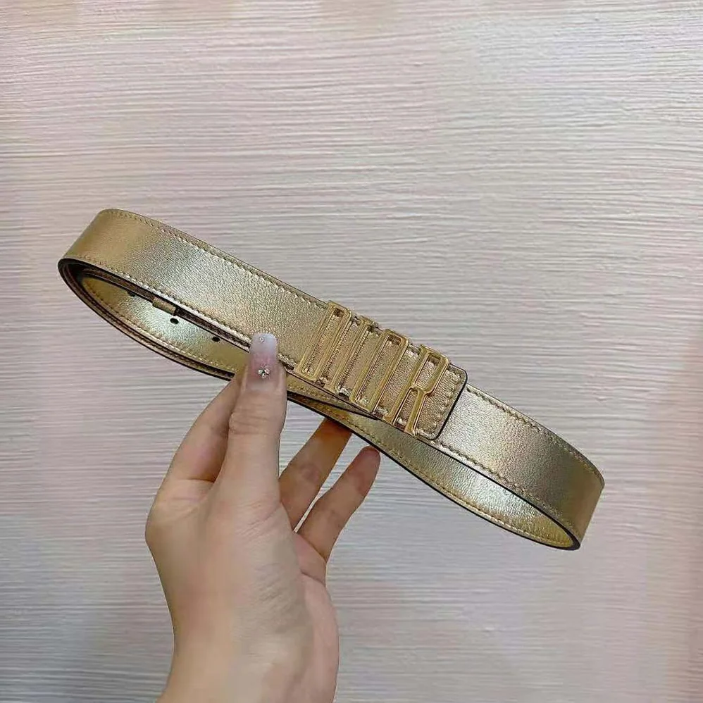 Dior D-Fence Belt Gold-Tone Laminated Crinkled Calfskin 30 MM for Women Dior D-Fence Belt Gold-Tone Laminated Crinkled Calfskin 30 MM for Women