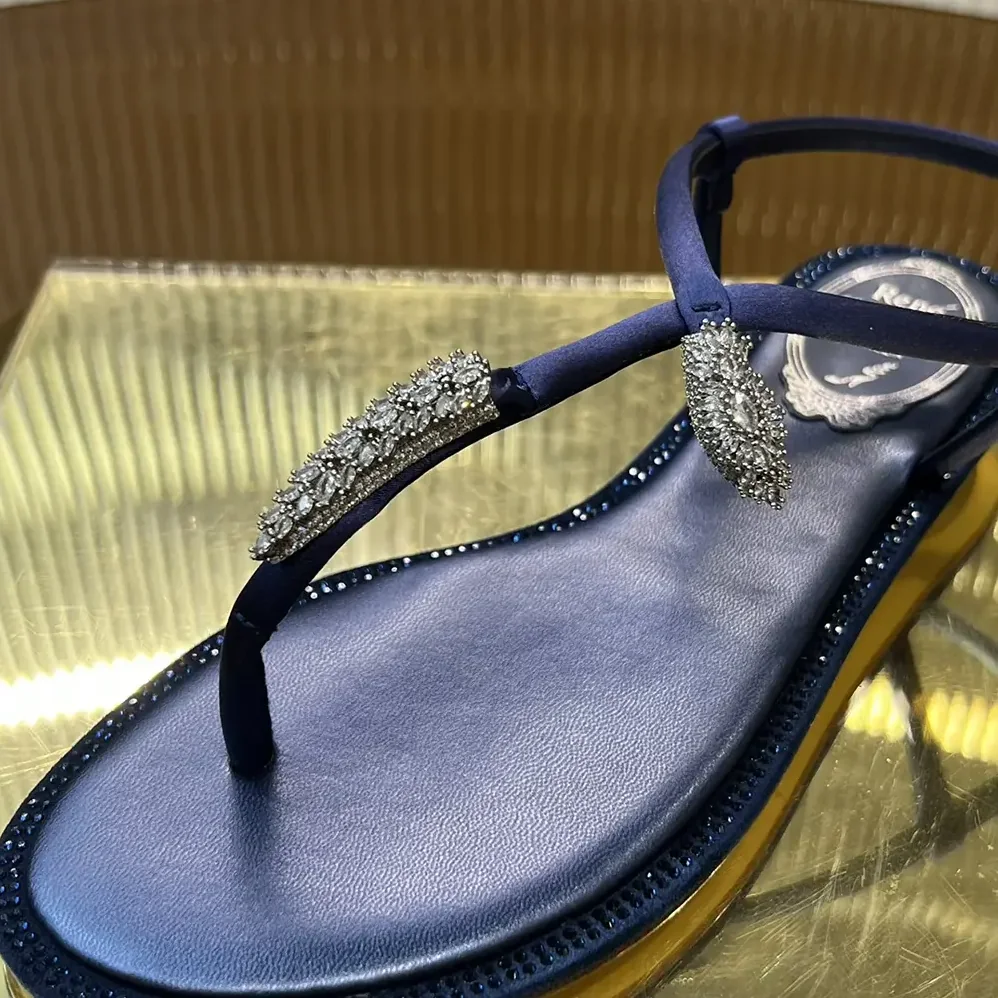 Rene Caovilla Serpente Indigo Thong Sandal 10 for Women