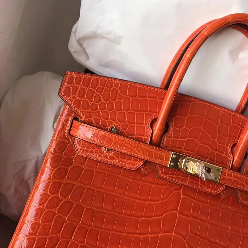 Hermes Birkin 30 Bag in Alligator Leather with Gold Hardware in Orange