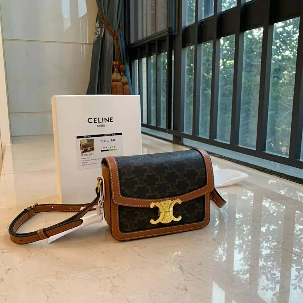 Celine Teen Triomphe Bag in Triomphe Canvas and Calfskin for Women