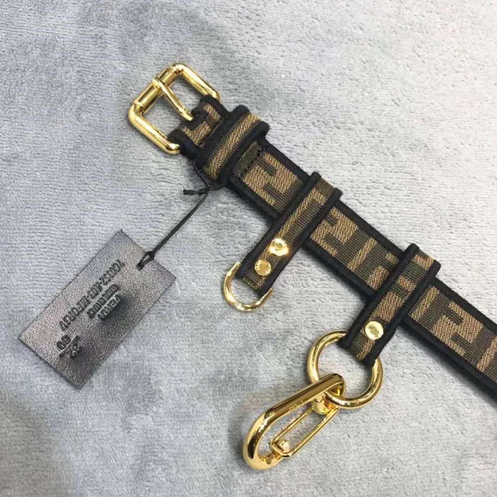 Fendi Brown Fabric Belt for Women