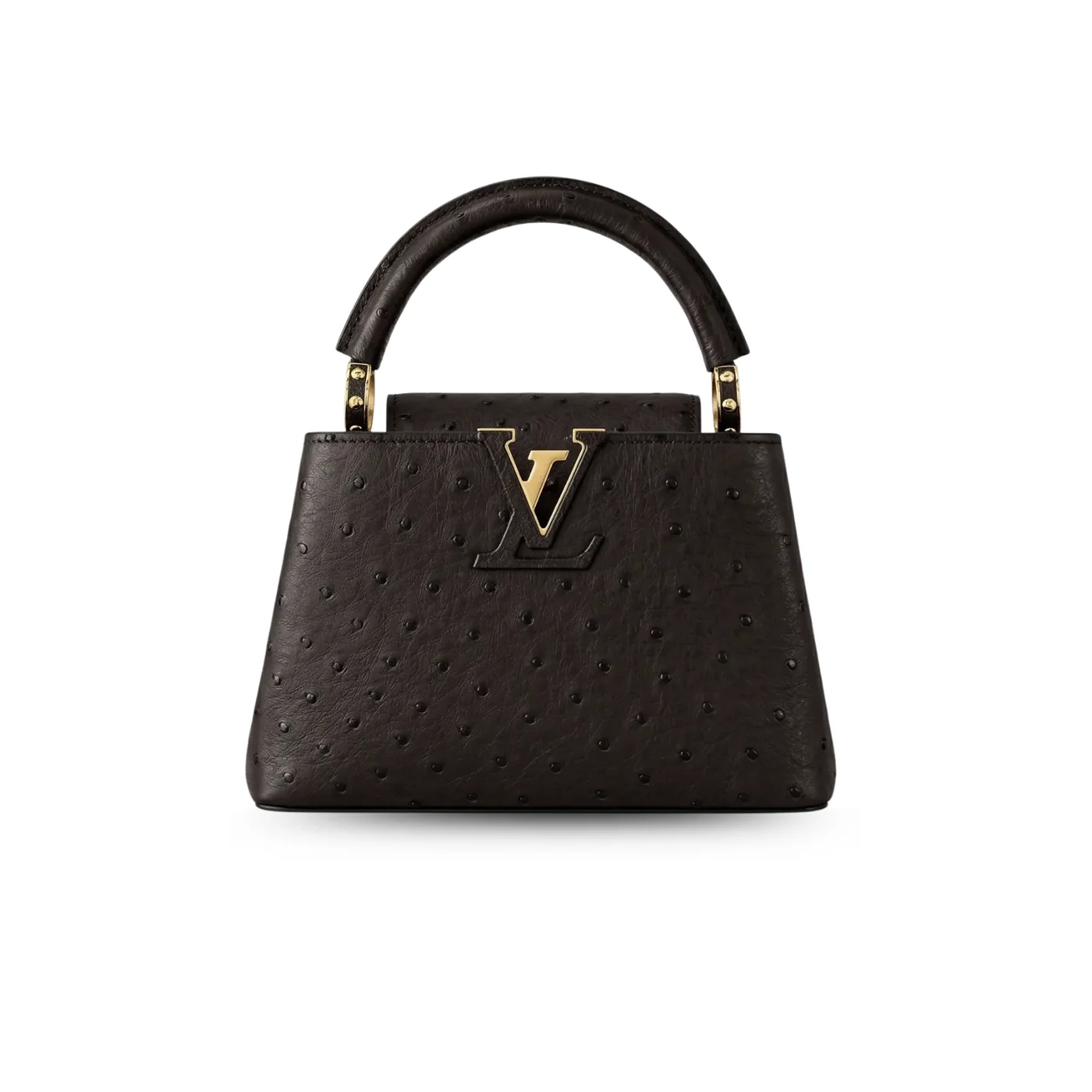 Louis Vuitton Capucines Mini Top Handle Bag in Dark Brown Gold Hardware Louis Vuitton Capucines Mini Top Handle Bag in Dark Brown Gold Hardware