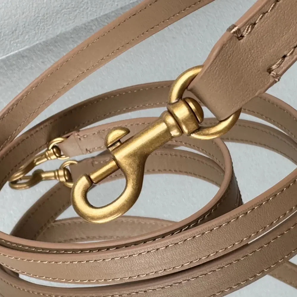 Balenciaga Rodeo Handbag Small In latte Smooth Calfskin Aged for Women in gold Hardware