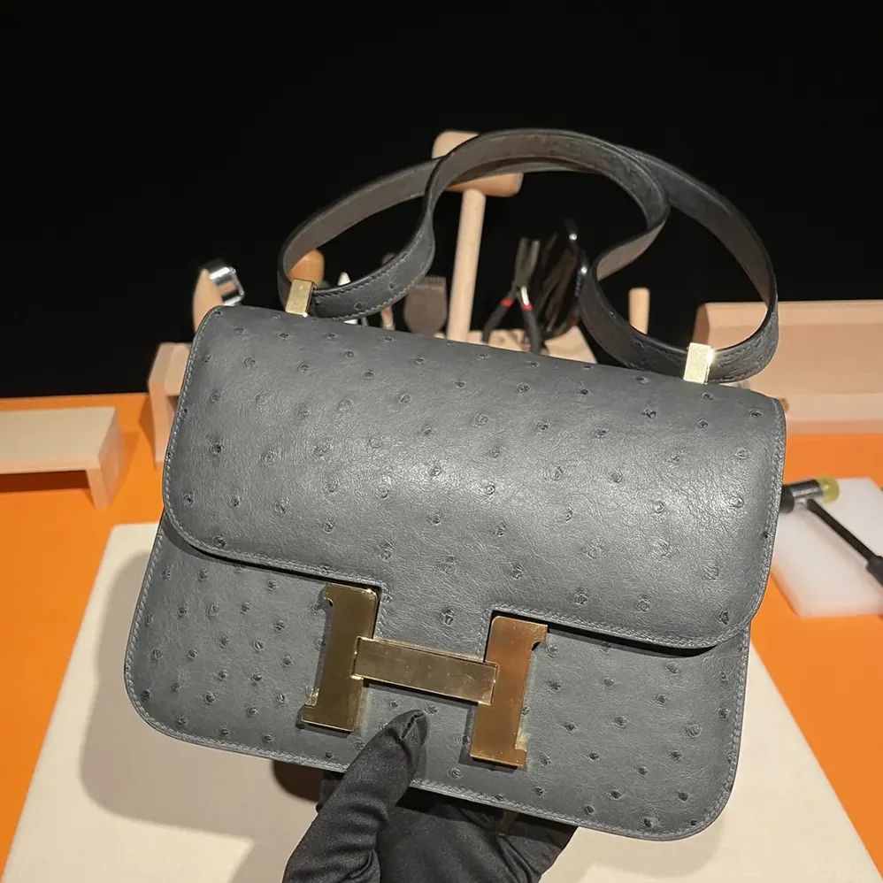 Hermes Constance 24 Bag Nata Ostrich Leather for Women in Silver/Gold