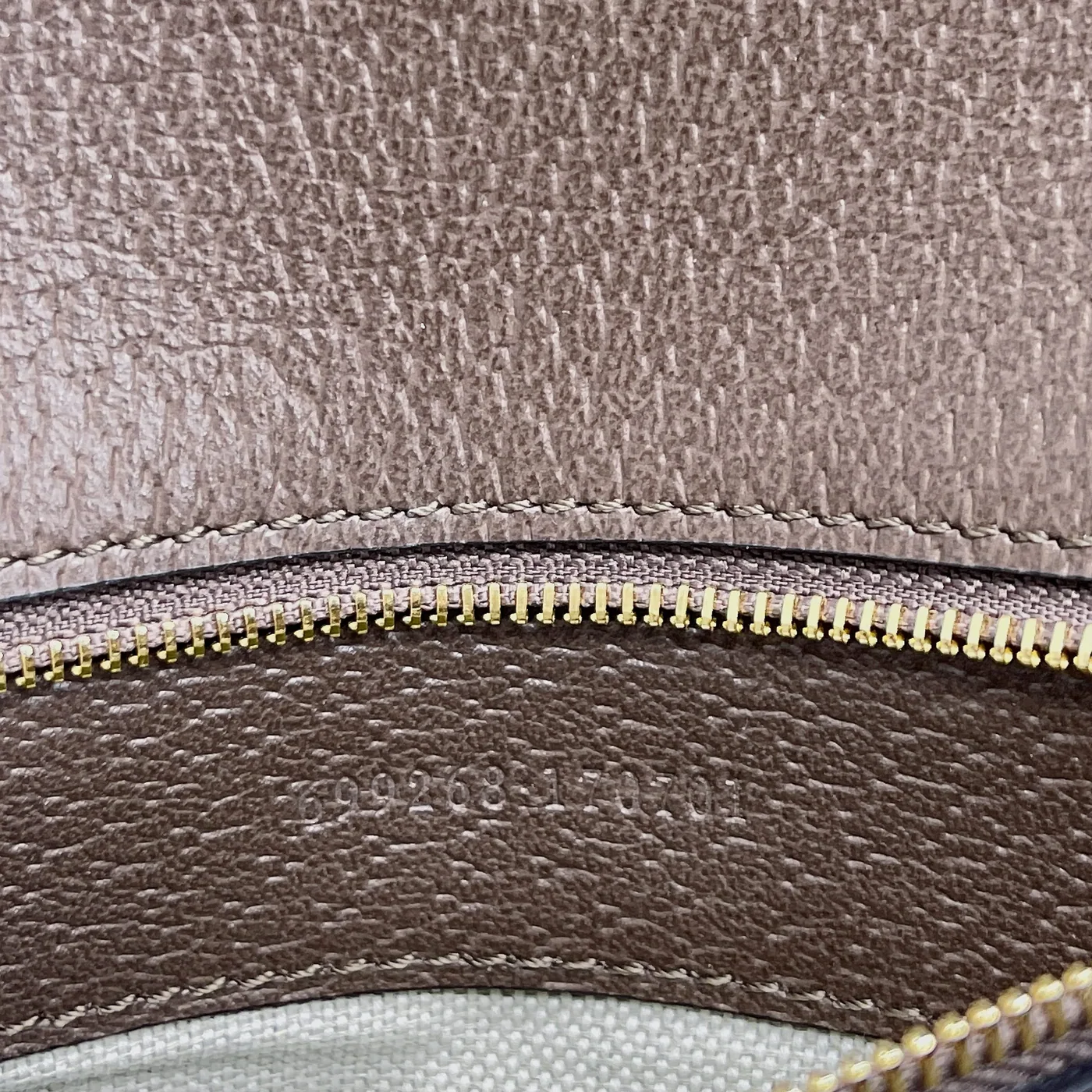 Gucci Blondie Medium Shoulder Bag / Beige/ Ebony GG Supreme Canvas Gold Hardware