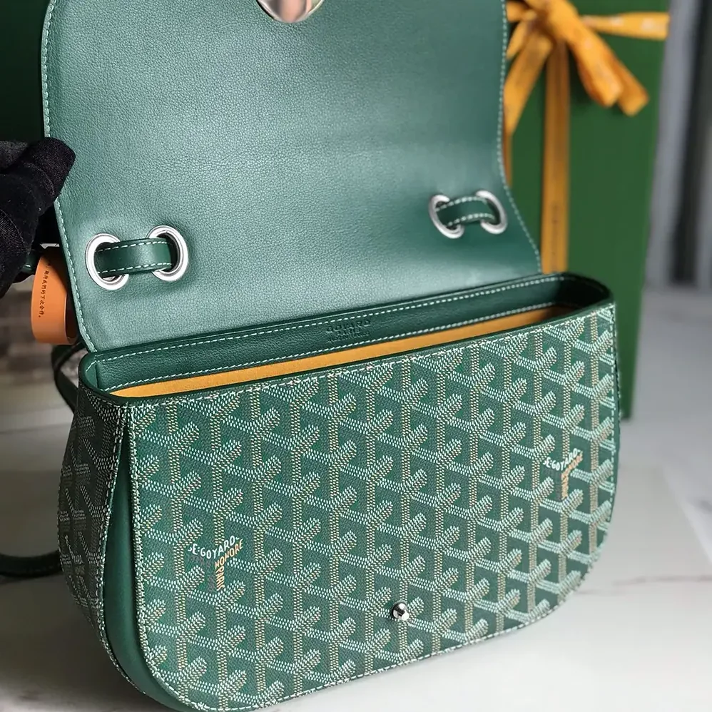 Goyard 233 Bag for Unisex in Green