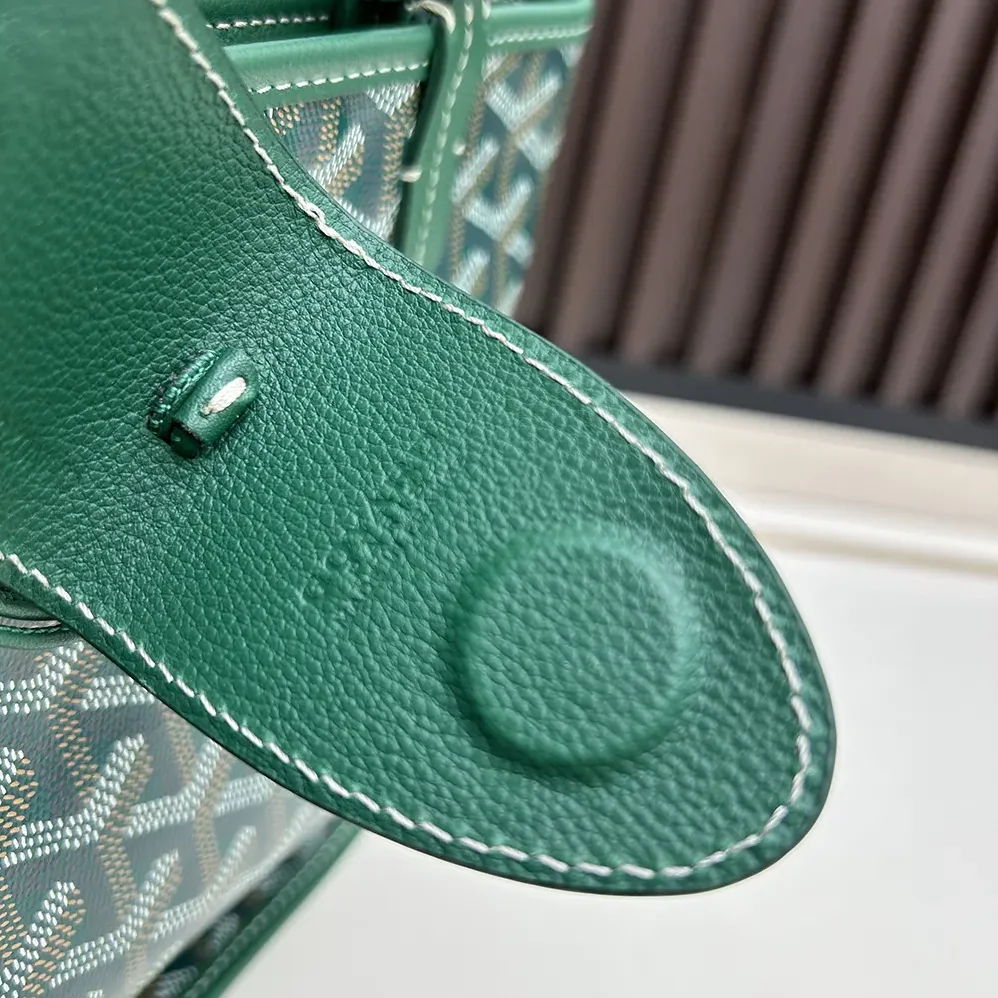 Goyard Anjou Mini Bag for Unisex in Green