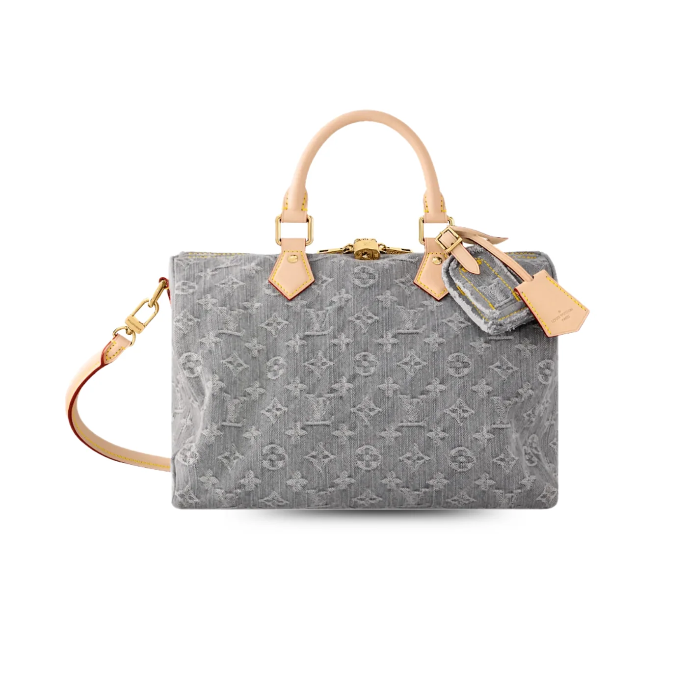Louis Vuitton Speedy Soft 30 Top Handle Bag in Washed Gray Gold Hardware