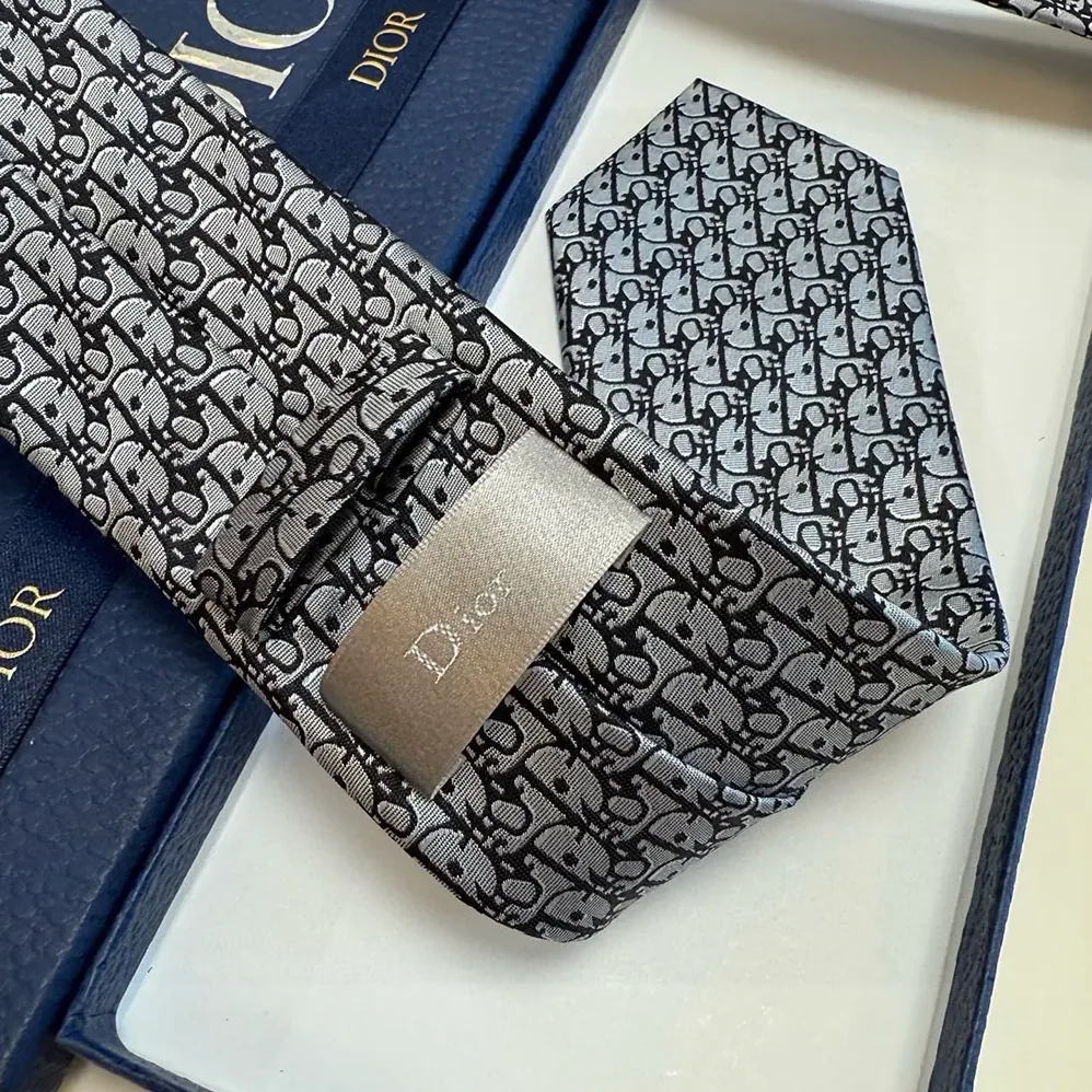 Dior Oblique Tie Gray Silk for Men