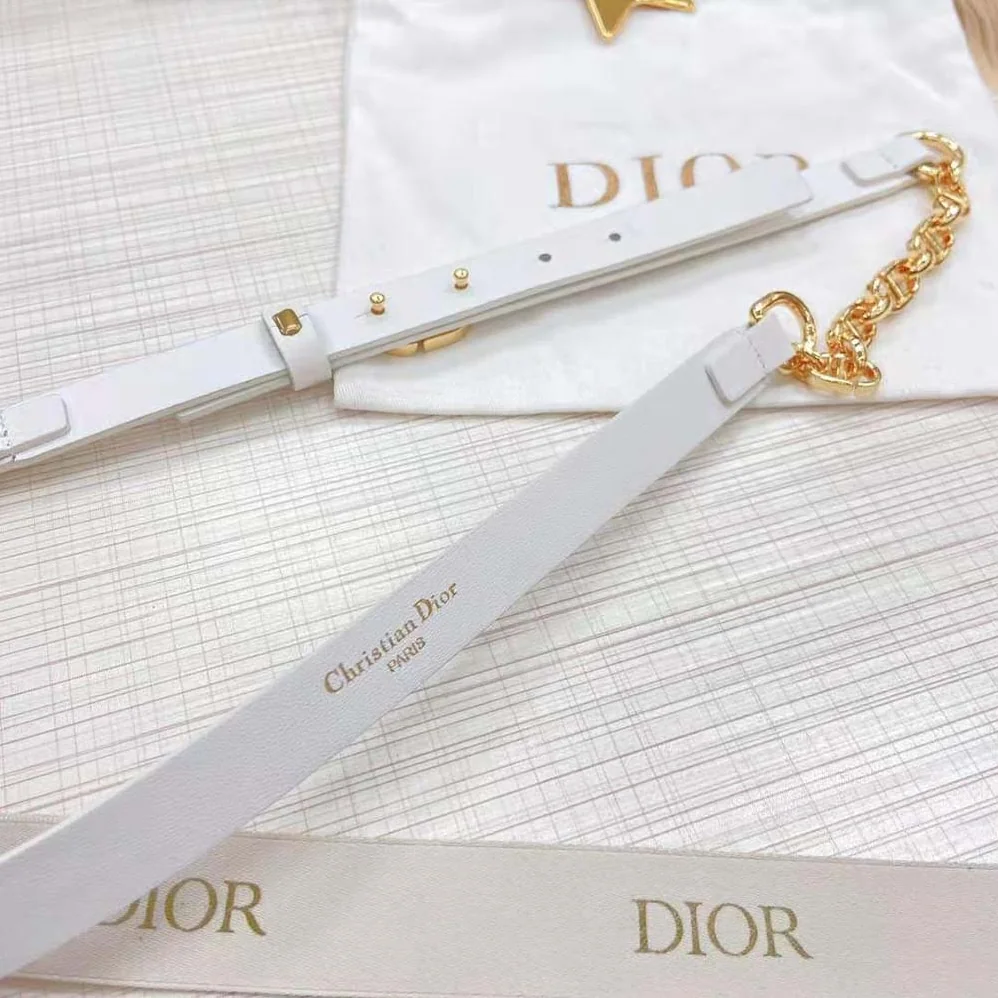 Dior Caro Belt White Smooth Calfskin with Shiny Gold-Finish Metal 15 MM for Women Dior Caro Belt White Smooth Calfskin with Shiny Gold-Finish Metal 15 MM for Women
