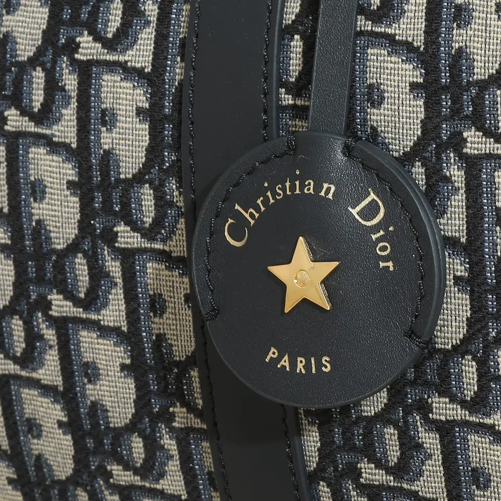 Dior Dior Groove 25 Bag Blue Dior Oblique Jacquard for Unisex