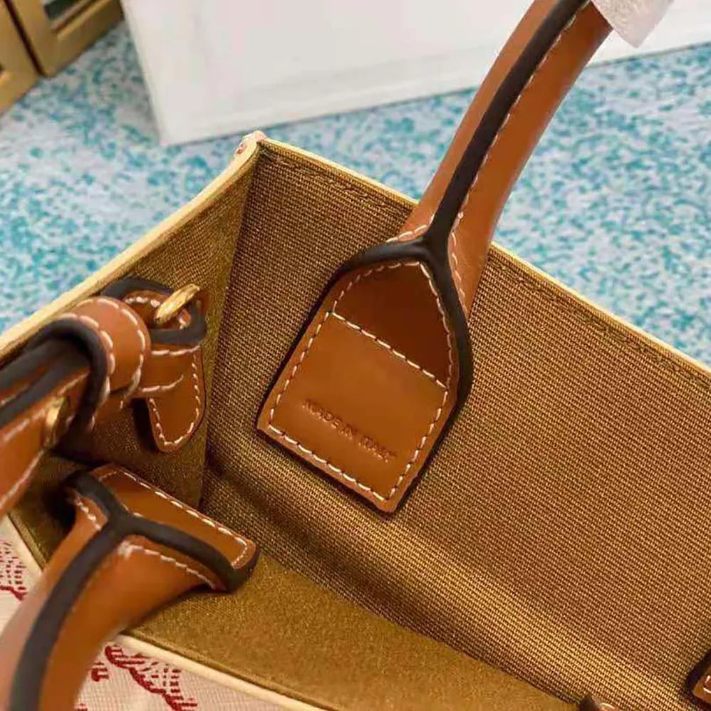 Celine Mini Vertical Cabas in Triomphe Canvas with Celine Print for Women