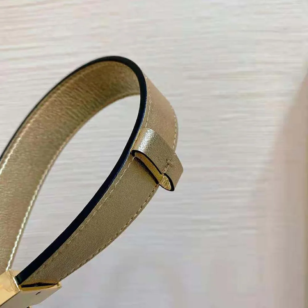 Dior D-Fence Belt Gold-Tone Laminated Crinkled Calfskin 30 MM for Women Dior D-Fence Belt Gold-Tone Laminated Crinkled Calfskin 30 MM for Women