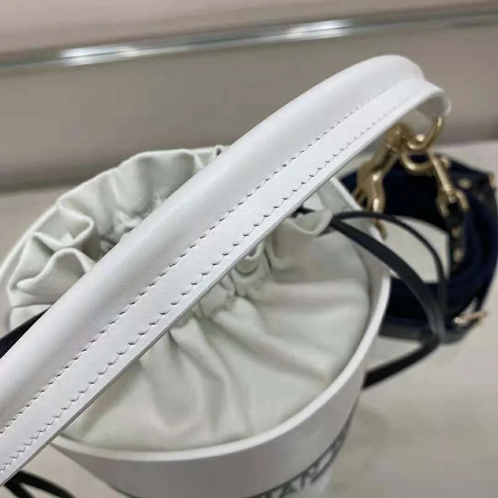 Dior Small Dior Vibe Bucket Bag White and Blue Smooth Calfskin for Women