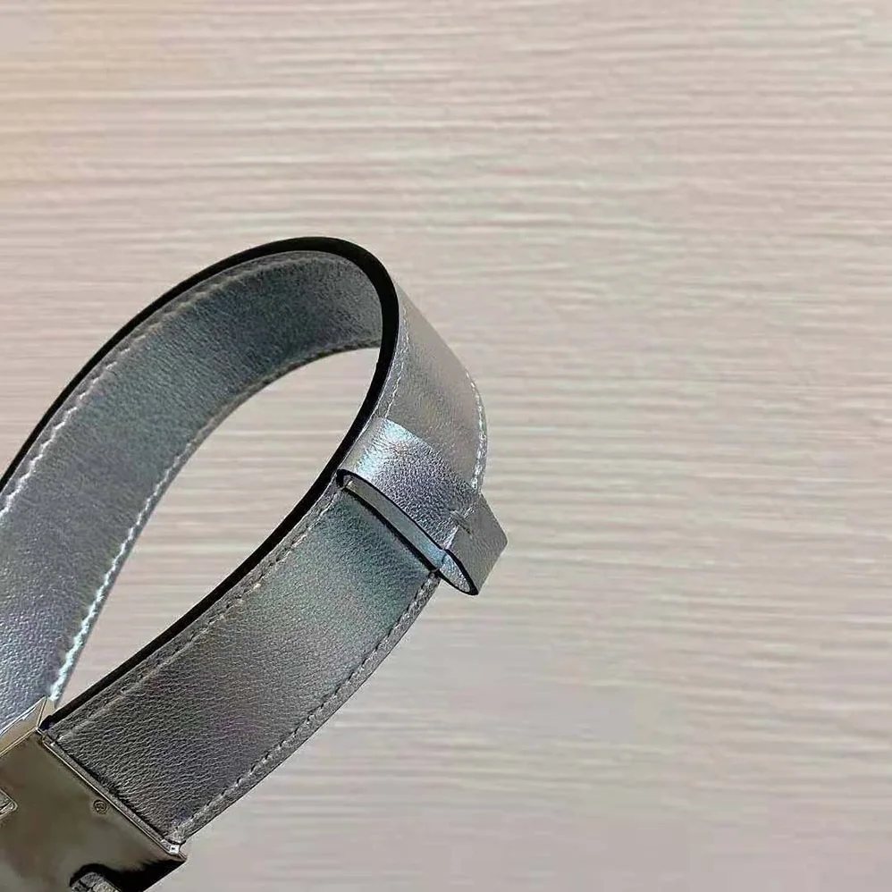 Dior D-Fence Belt Silver-Tone Laminated Crinkled Calfskin 30 MM for Women Dior D-Fence Belt Silver-Tone Laminated Crinkled Calfskin 30 MM for Women
