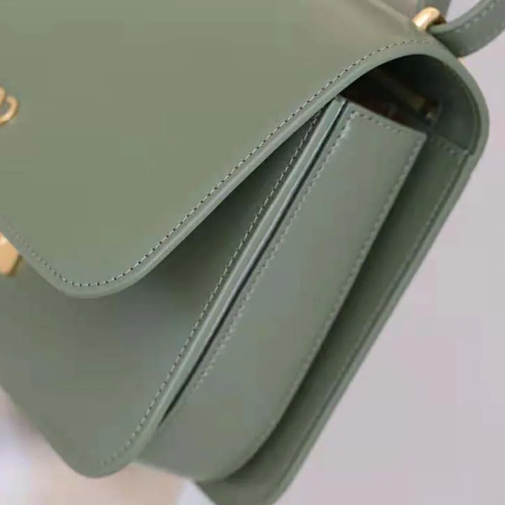 Loewe Goya Bag in Silk Calfskin for Women in Green