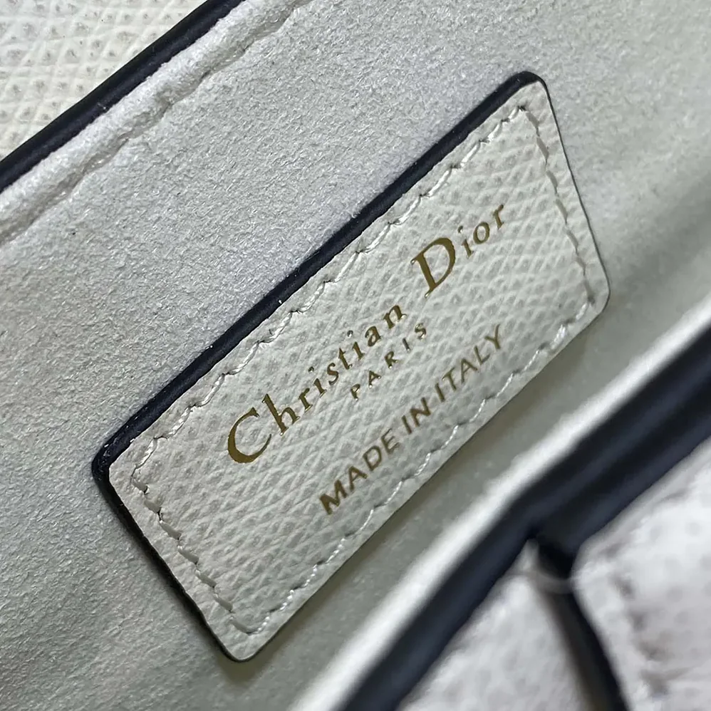 Dior Saddle Bag with Strap Latte Grained Calfskin for Women