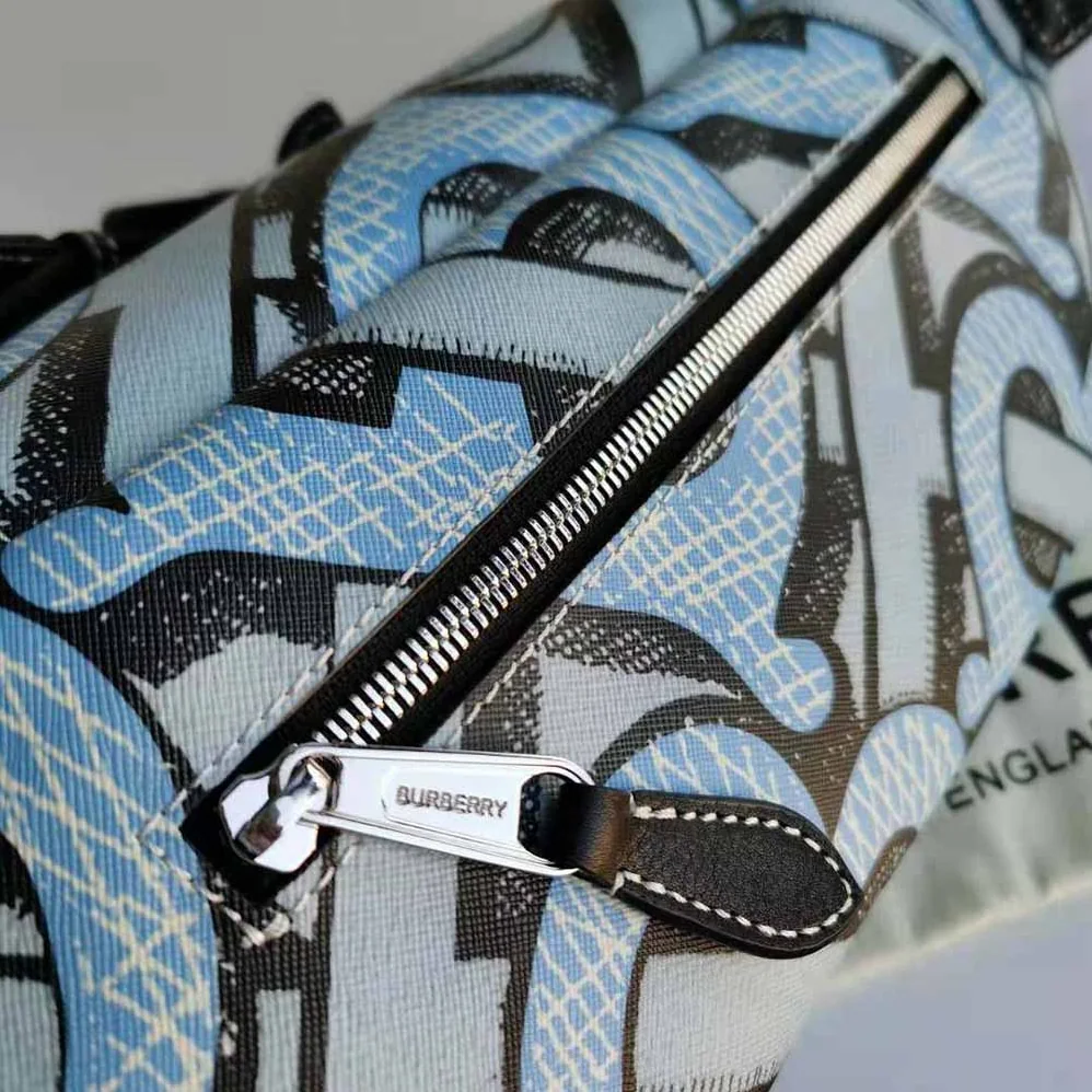 Burberry Monogram Print E-canvas Sonny Bum Bag for Women in Blue Burberry Monogram Print E-canvas Sonny Bum Bag for Women in Blue