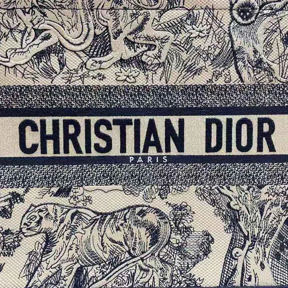 Dior Medium Dior Book Tote Brown Toile de Jouy Embroidery for Women