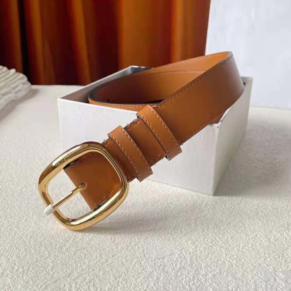 Celine Medium Twin Triomphe Belt in Vintage Calfskin for Women in Brown