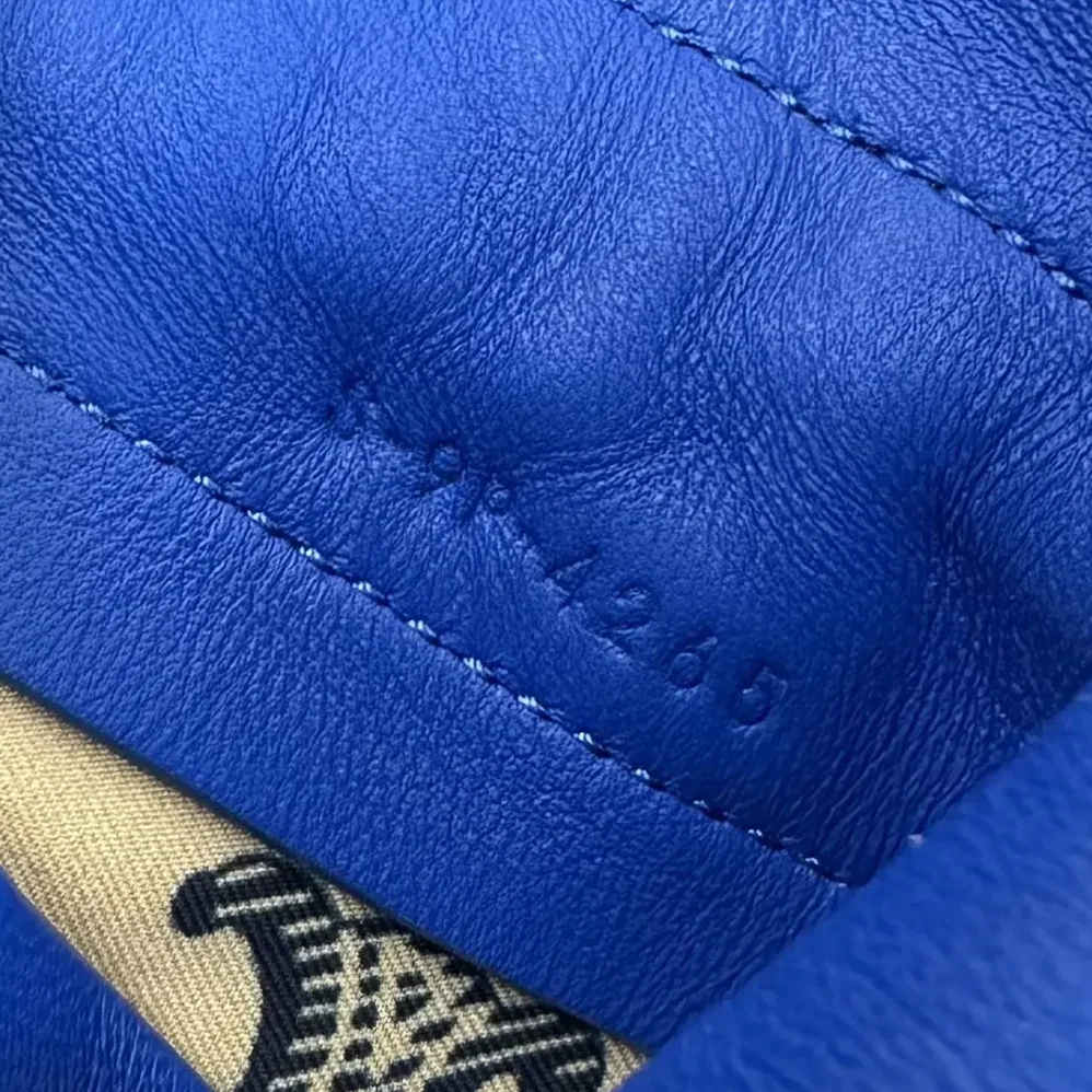 Celine Small Crystal Pouch in Lambskin for Women in Blue