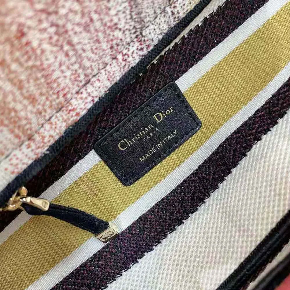 Dior Medium Lady D-lite Bag Multicolor D for Women in Stripes Embroidery Dior Medium Lady D-lite Bag Multicolor D for Women in Stripes Embroidery