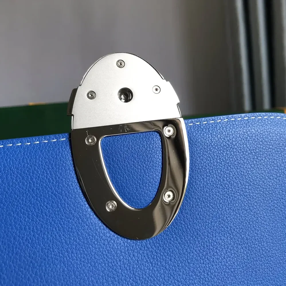Goyard 233 Bag for Unisex in Blue