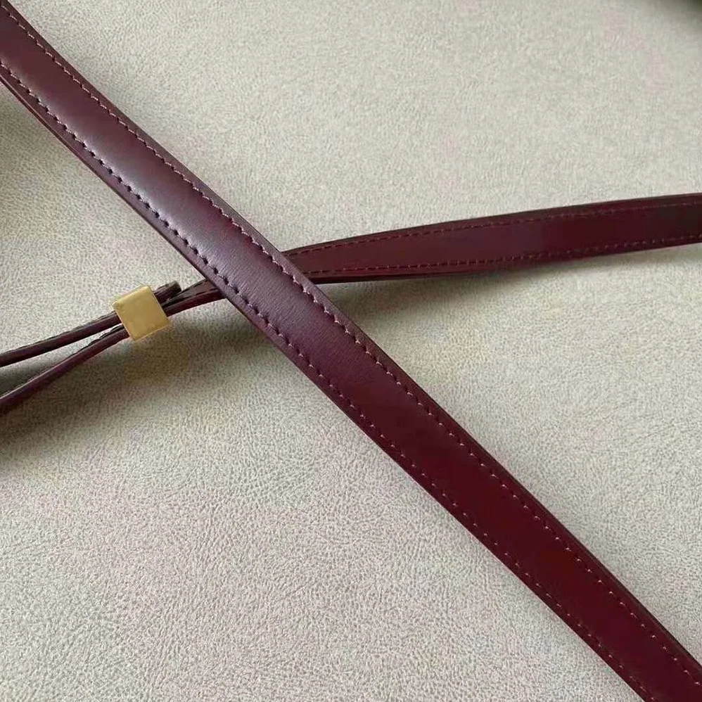 Celine Teen Classic Bag in Box Calfskin for Women in Maroon