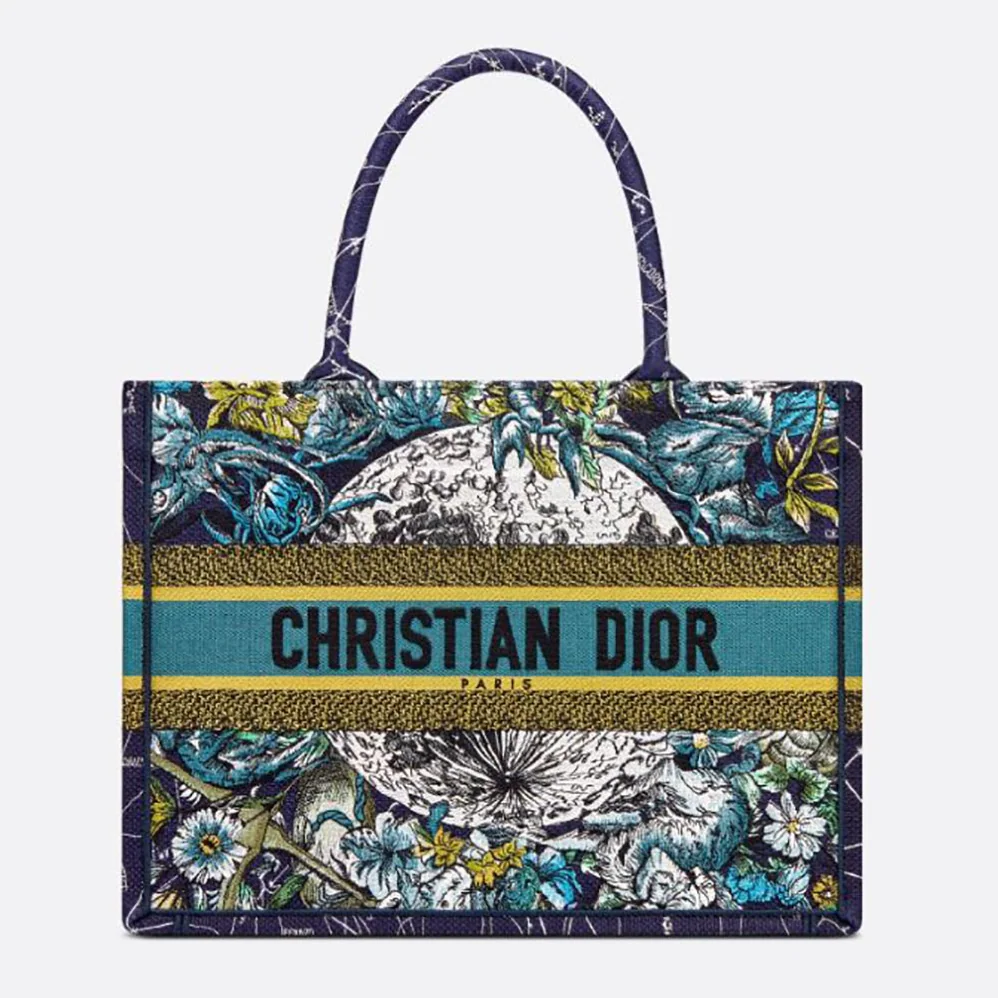 Dior Small Dior Book Tote Blue Dior Constellation Embroidery for Women