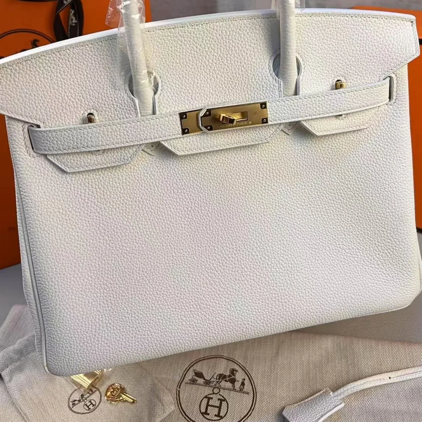 Hermes Birkin Top Handle Bag in White Gold Hardware Hermes Birkin Top Handle Bag in White Gold Hardware