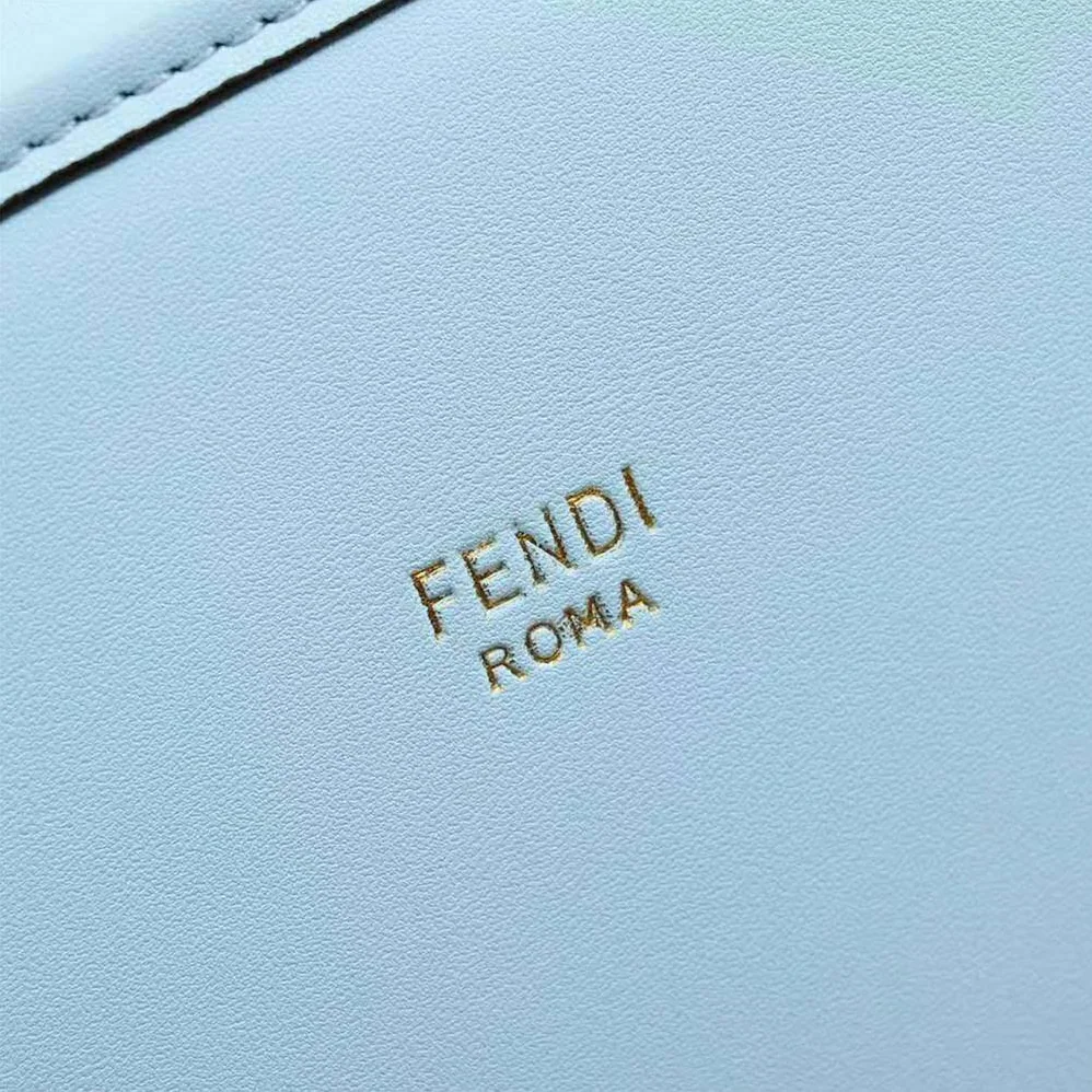 Fendi Camera Case Leather Bag for Women in Blue