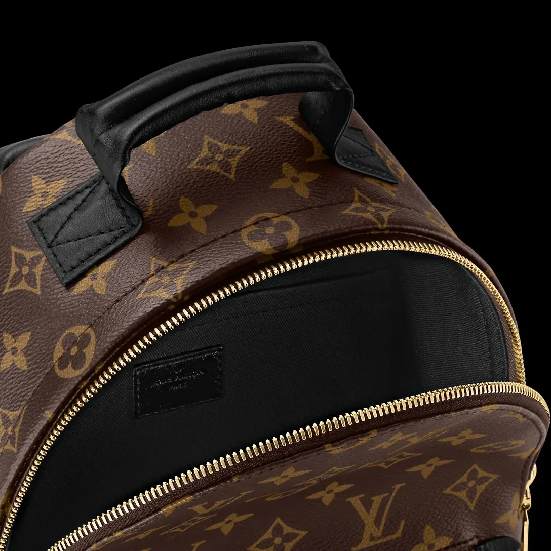 Louis Vuitton Palm Springs Mini Backpack - / Louis Vuitton Palm Springs Mini Backpack - /