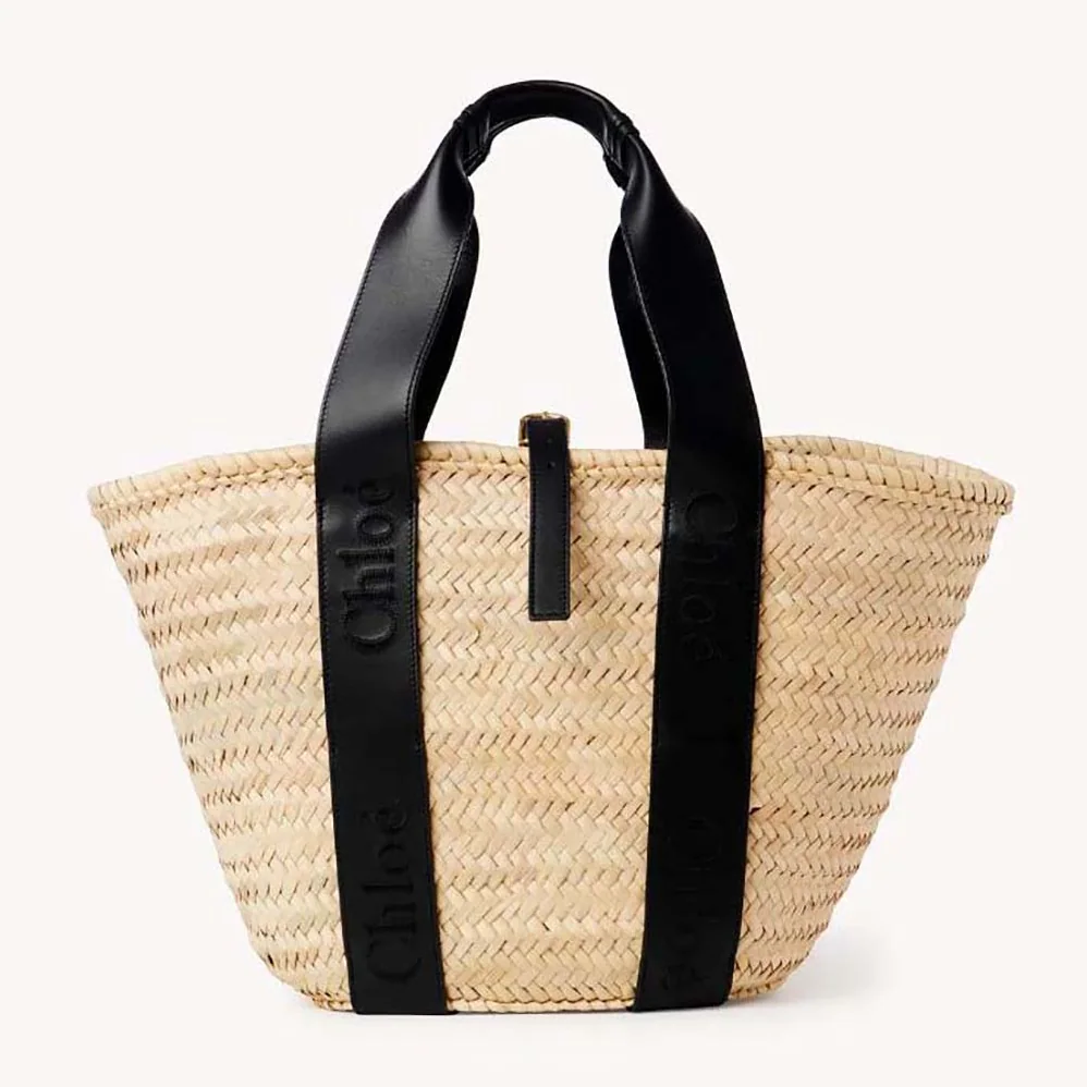 Chloe Sense Medium Basket for Women in Black