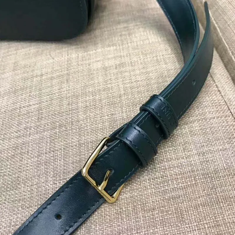 Celine Medium Triomphe Bag In Shiny Calfskin for Women in Green Celine Medium Triomphe Bag In Shiny Calfskin for Women in Green