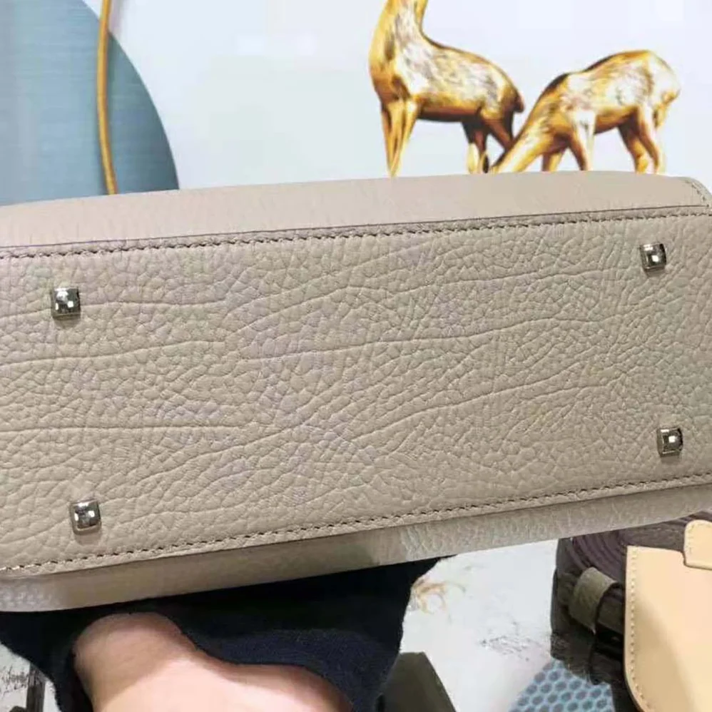 Delvaux Tempete PM in Crispy Calf for Women in Beige