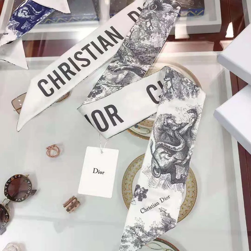 Dior Toile DE Jouy Mitzah Scarf Silk Twill for Women in Silver