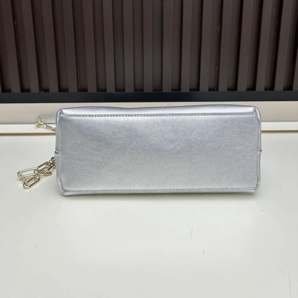 Dior Or Small Dior Bow Bag Silver for Women in Tone Laminated Lambskin