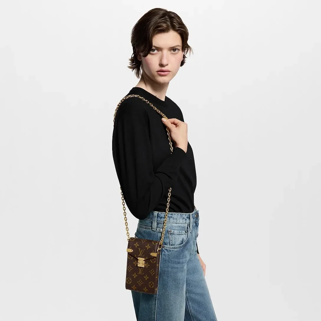 Louis Vuitton Phone Pouch Metis in Brown Monogram Gold Hardware