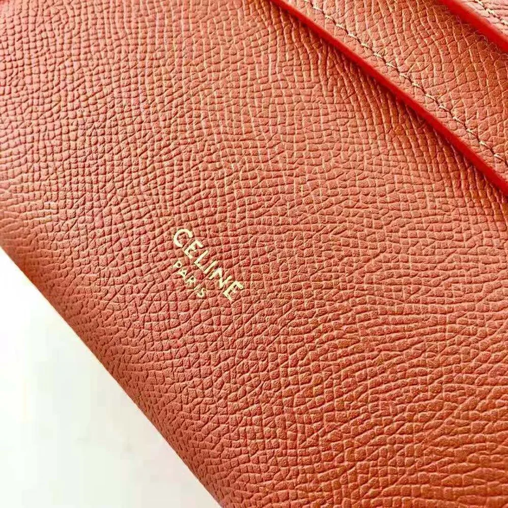 Celine Pico Belt Bag in Grained Calfskin Lychee for Women