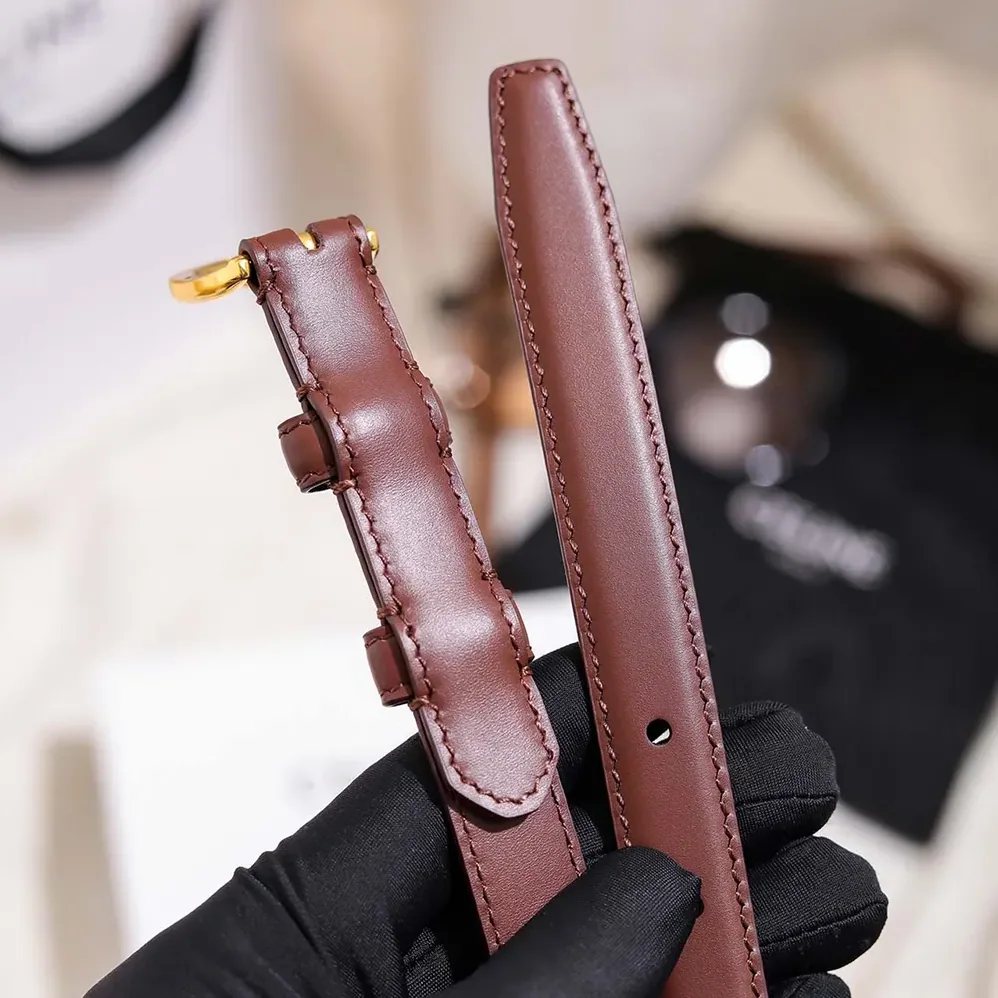 Celine Vivienne Belt 25Mm In Taurillon Leather for Women in Dark Brown