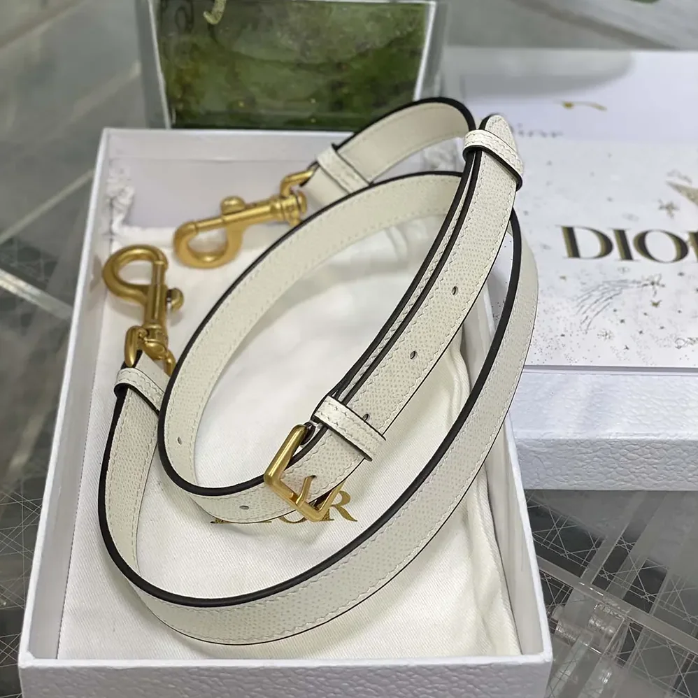 Dior Mini Saddle Bag with Strap Latte Grained Calfskin for Women Dior Mini Saddle Bag with Strap Latte Grained Calfskin for Women