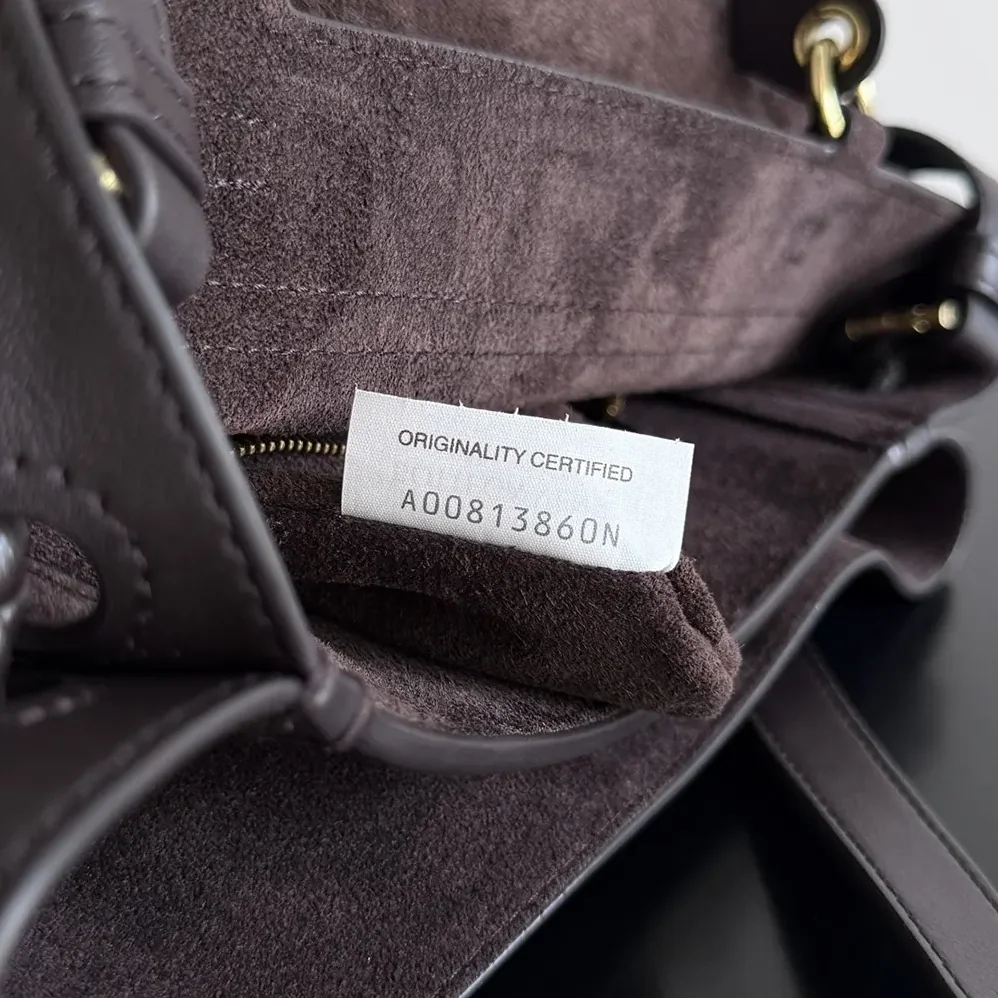 Bottega Veneta Small Ciao Ciao for Women in Chocolate