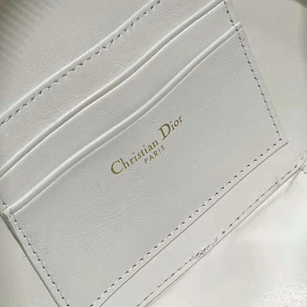 Dior CD Signature Oval Camera Bag Latte Calfskin with Embossed CD Signature for Women