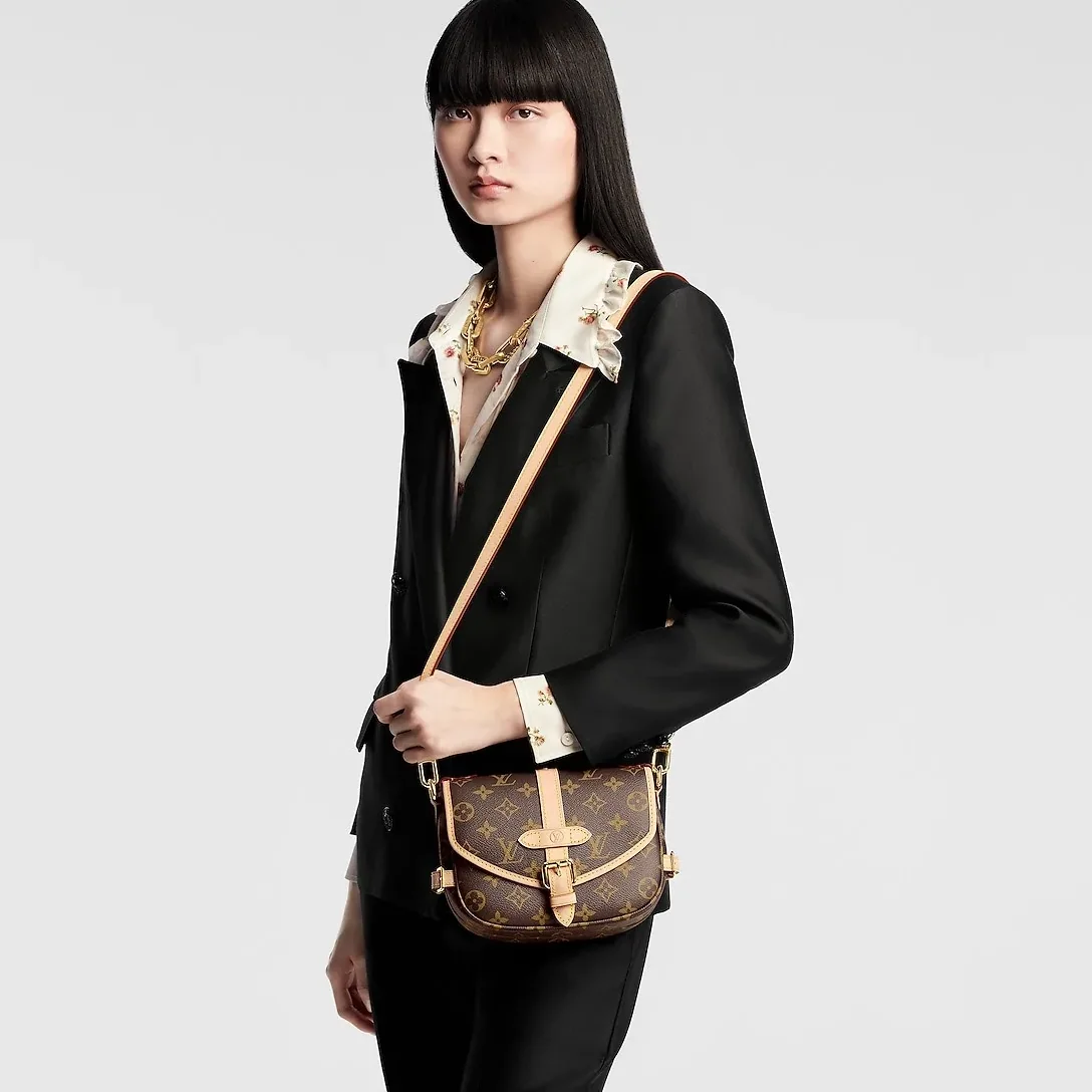 Louis Vuitton Saumur BB Monogram /