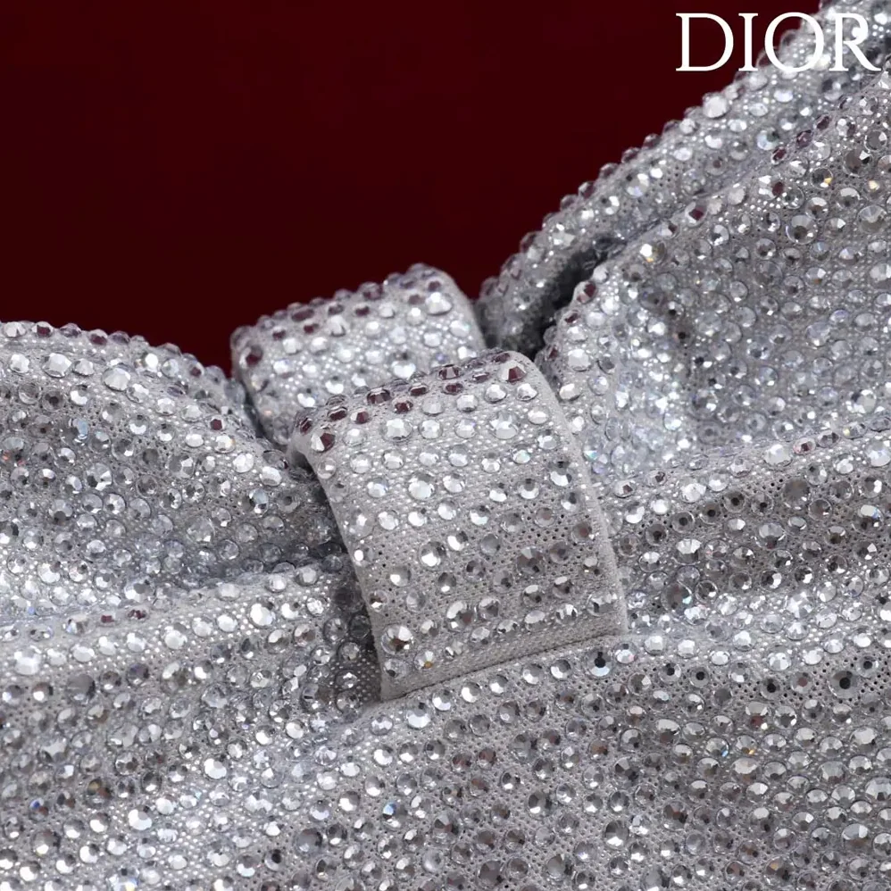Dior Small Dior Bow Bag Silver for Women in Tone Goatskin and Strass Dior Small Dior Bow Bag Silver for Women in Tone Goatskin and Strass