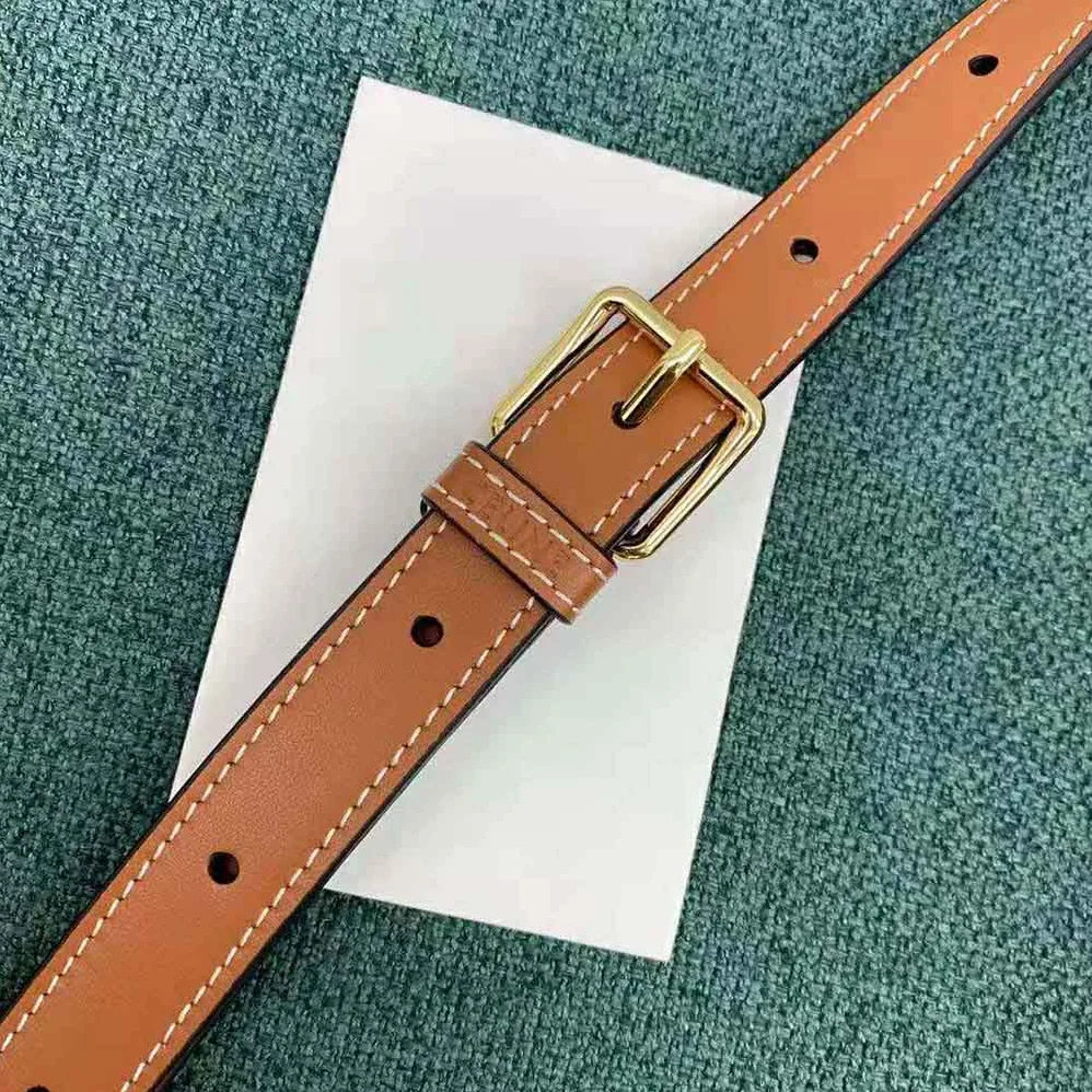 Celine Small Belt Bag in Triomphe Canvas for Women