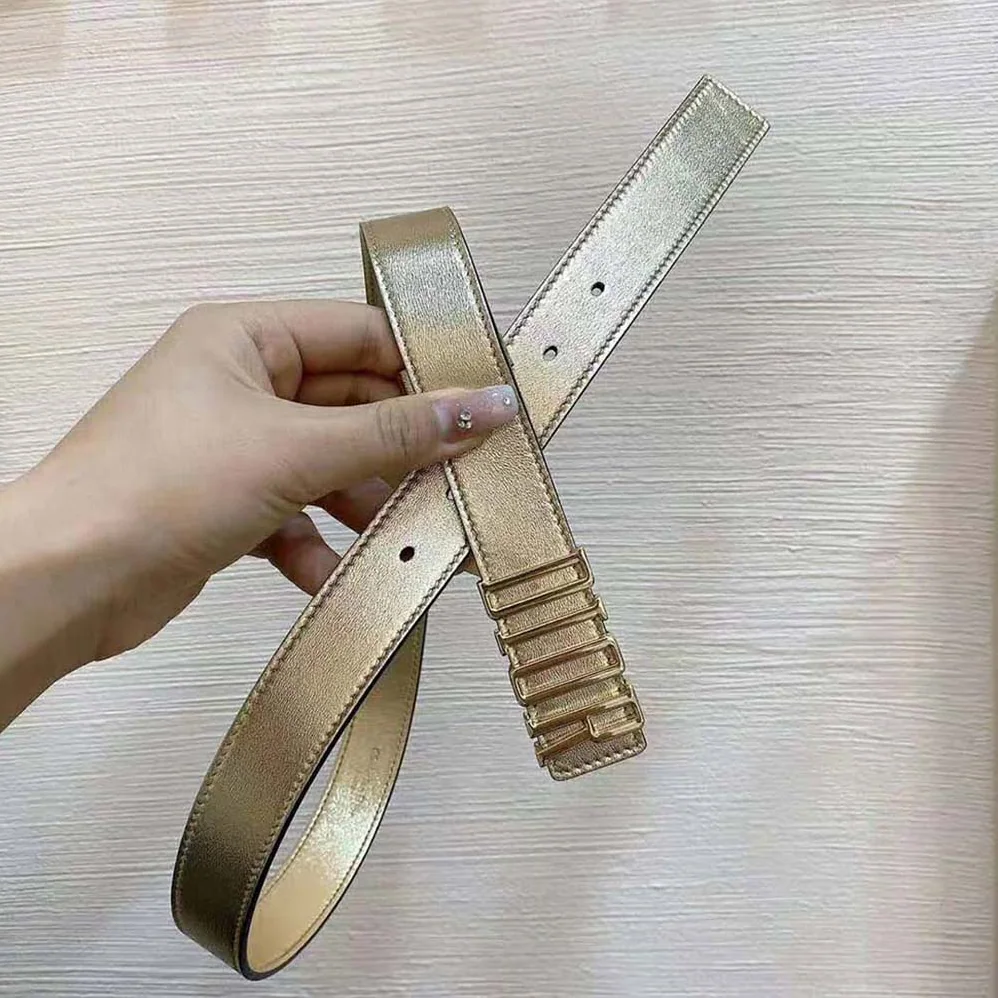 Dior D-Fence Belt Gold-Tone Laminated Crinkled Calfskin 30 MM for Women Dior D-Fence Belt Gold-Tone Laminated Crinkled Calfskin 30 MM for Women